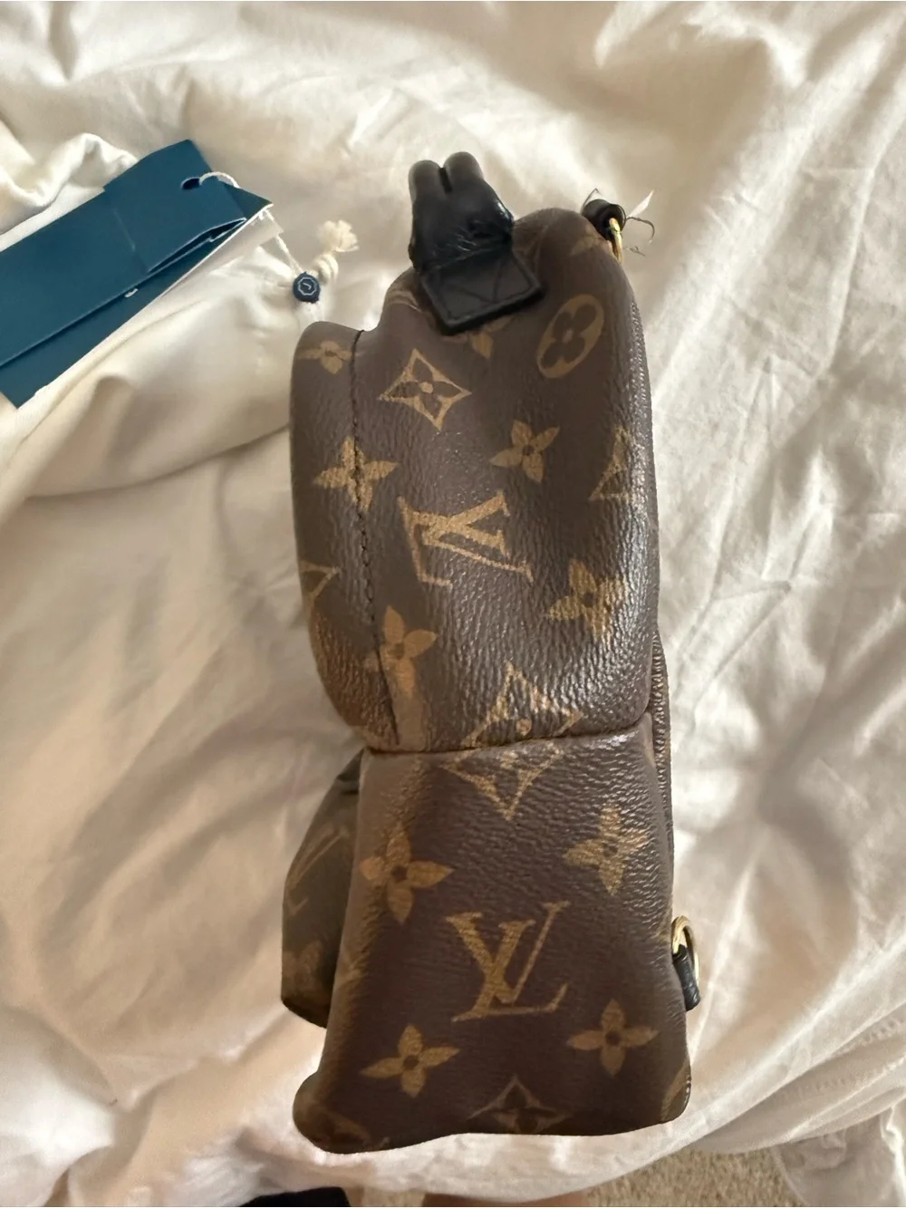 Louis vuitton mini palm springs backpack